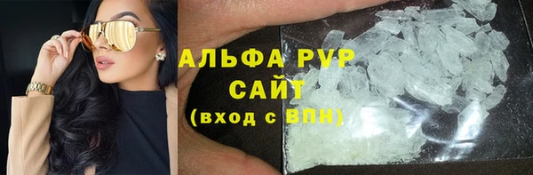 гидра Алексин