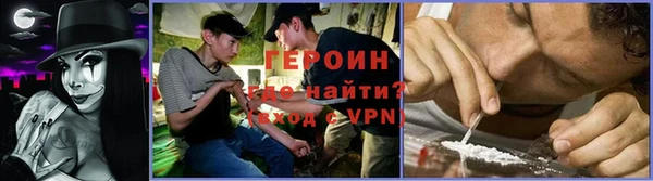 гидра Алексин