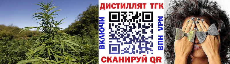 Дистиллят ТГК THC oil  Сунжа 