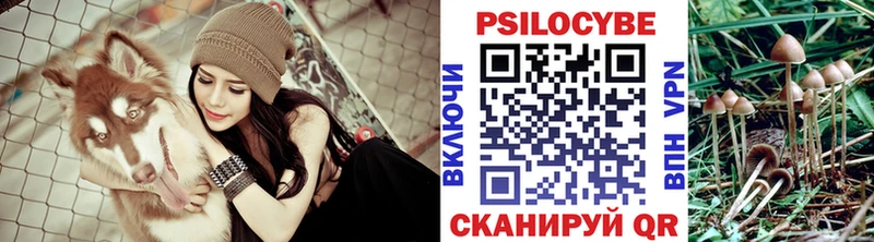 Галлюциногенные грибы GOLDEN TEACHER  где купить наркотик  сайты даркнета Telegram  Сунжа 
